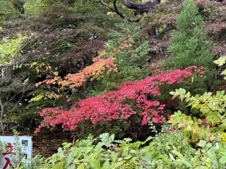 Tempel herfstkleuren Tempel herfstkleuren