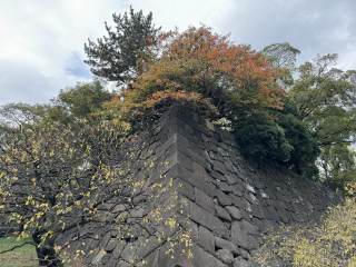 Herfstkleuren en een muur