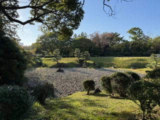 Groen met stenen tuin