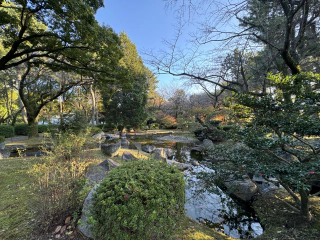 Mooi stukje tuin