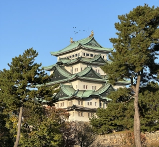 Kasteel tussen de bomen