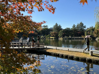 Herfstrood, de vijver, en de theesalon