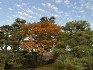 Herfstkleuren 1