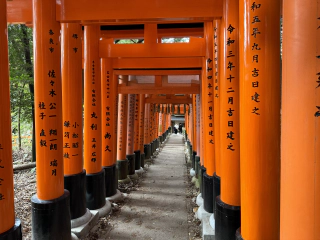 Nieuwe torii