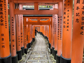 Nog meer torii