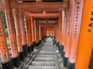 Nog weer meer torii