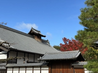 Kuri