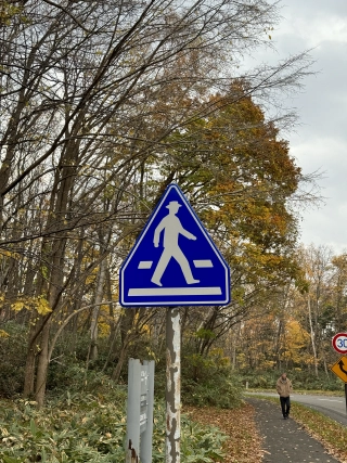 Nieuwe bord