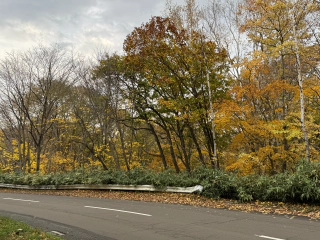 Herfstkleuren