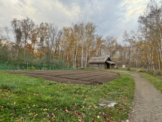 Rieten hut