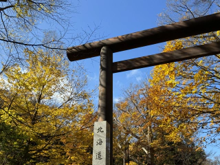 Herfst tempel poort