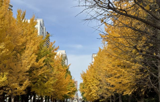 Nakajima park 1