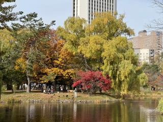 Nakajima park 3