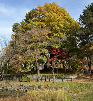 Nakajima park 4