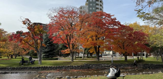 Nakajima park 9