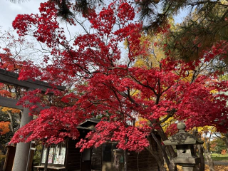 Tempel kleuren 2