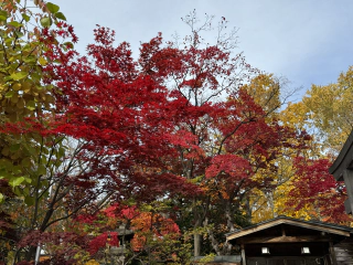 Tempel kleuren 3