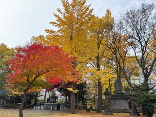 Herfstkleuren